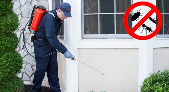 Marmara Hamam Böceği İlaçlama böcek ilaçlama ve haşere kontrolü — ilaclama-tr.com